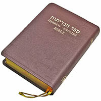 Bible Study